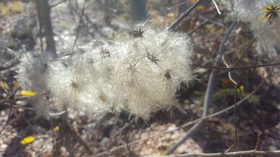 Rutas en familia: De Huetor Santillán, a Granada...andando