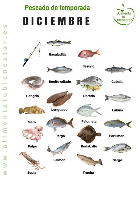 Calendario de pescado de temporada para todo el año