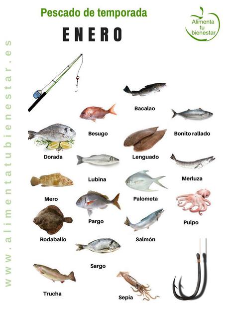 Calendario de pescado de temporada para todo el año