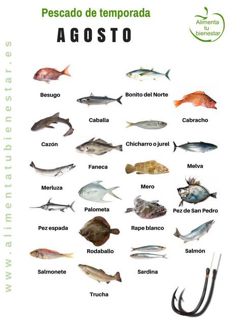 Calendario de pescado de temporada para todo el año