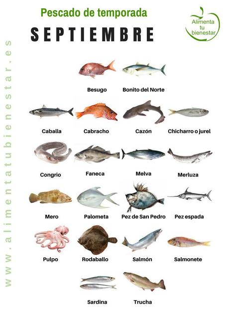 Calendario de pescado de temporada para todo el año