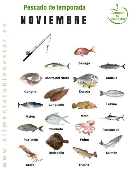 Calendario de pescado de temporada para todo el año