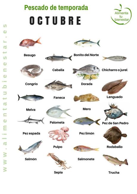 Calendario de pescado de temporada para todo el año