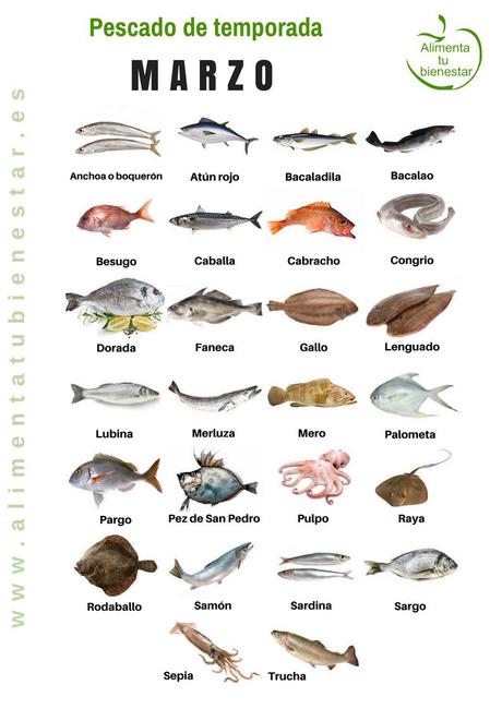 Calendario de pescado de temporada para todo el año