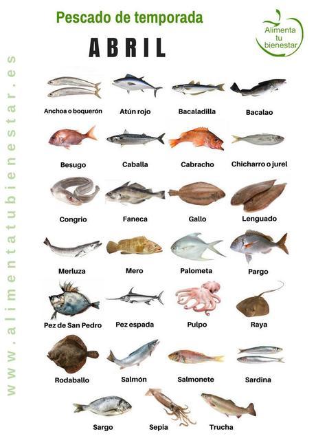 Calendario de pescado de temporada para todo el año