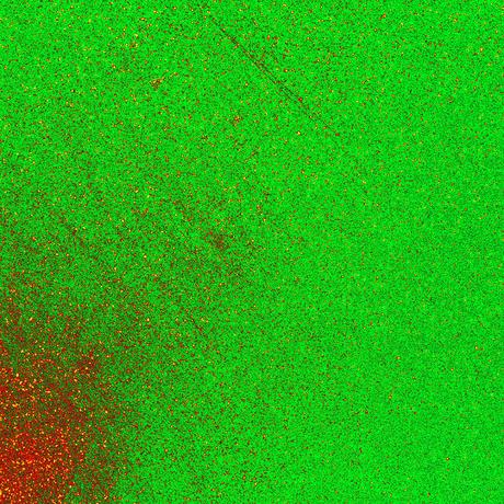 LOS MEJORES DE 2016: LISTA NACIONAL