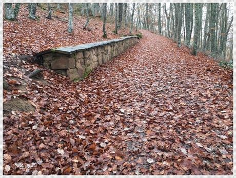 No hay nada por lo que felicitarnos, porque nada se ha hecho