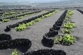 Esta España nuestra: Lanzarote, una Navidad entre volcanes (II)