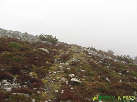 Camino del Peneo de Gargalois