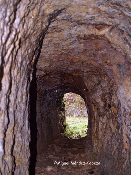 El Rincón de Anchuras