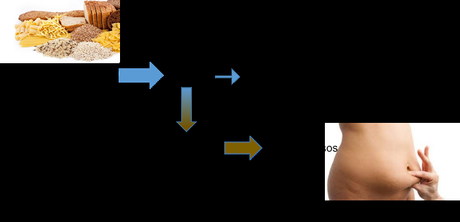 ¡Mira que lorza!, ¡Si yo no como grasas!