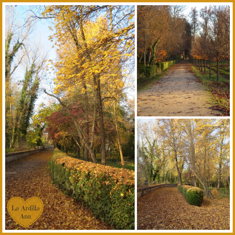 Buscando a Alicia.. y encontrando a Ana y sus amigas