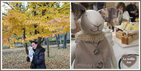 Buscando a Alicia.. y encontrando a Ana y sus amigas