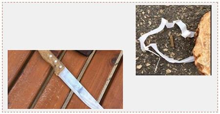 A la derecha: El cartucho de una bala disparada hacia el pueblo de Beit El (kolalnastv, 25 de diciembre de 2016). A la izquierda: El cuchillo encontrado en poder de la mujer palestina de Jerusalén Este ( Sadda , 24 de diciembre de 2016)