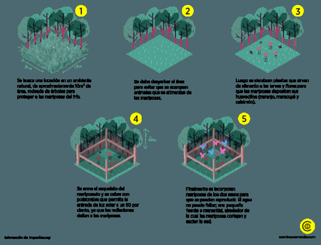 mariposario-infografia