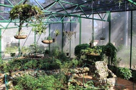 Mariposario de la Quinta de los Molinos, en La Habana. Foto: Alejandra García / Cachivache Media.