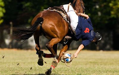 Alertan por un parásito que apareció en caballos de la provincia de Buenos Aires