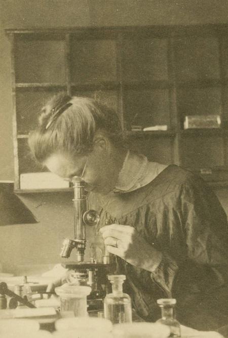 Descubriendo cromosomas, Nettie Stevens (1861-1912)