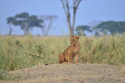 Rincones bloggeros 2016 Rincones bloggeros 2016