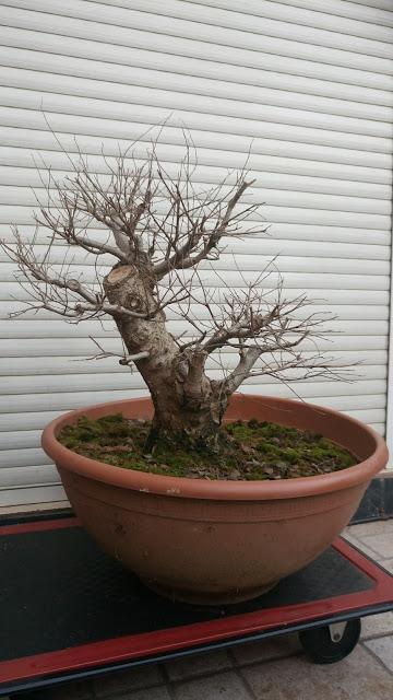 Últimas compras del 2016 .