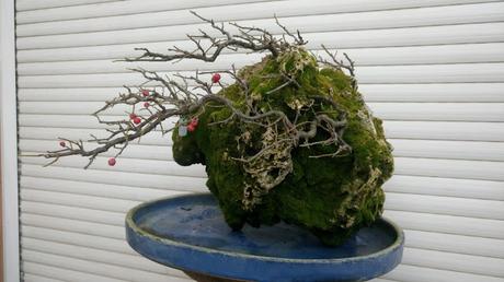 Últimas compras del 2016 .