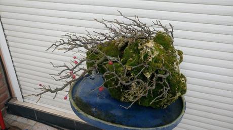 Últimas compras del 2016 .