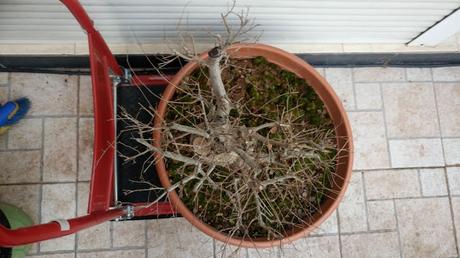 Últimas compras del 2016 .