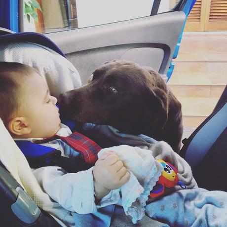 Nuestros momentos del 2016