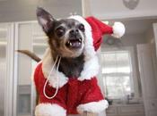 navidad como todas