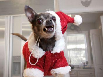 Una navidad como todas