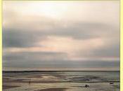 Mejores lecturas 2016