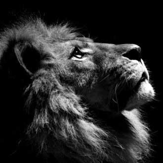 Hermosas fotografías de los archivos de National Geographic