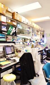 Cultura Biotec se va de “excursión” al Centro Nacional de Biotecnología (I)