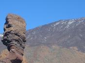 Rosa Teide