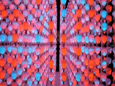 Qué le corten la cabeza!