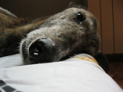 Tocándome las narices....