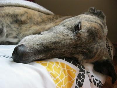 Tocándome las narices....