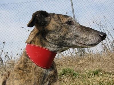 Tocándome las narices....