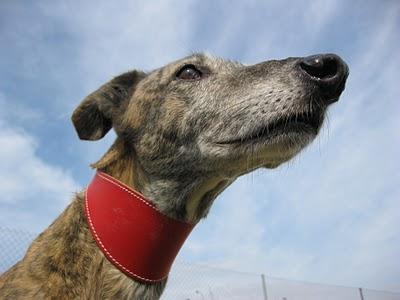 Tocándome las narices....