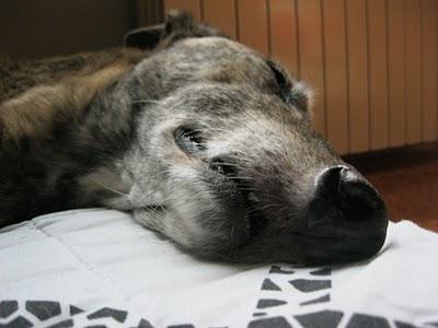 Tocándome las narices....