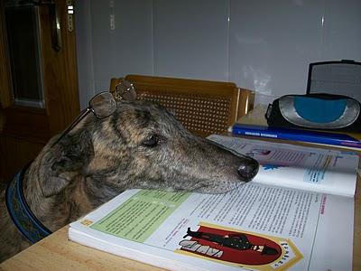 Tocándome las narices....