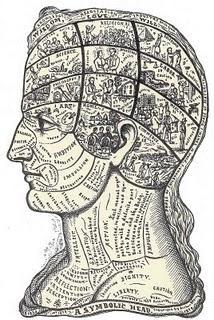 Algunas ideas acerca de nuestro maravilloso cerebro.