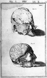 Algunas ideas acerca de nuestro maravilloso cerebro. Algunas ideas acerca de nuestro maravilloso cerebro.