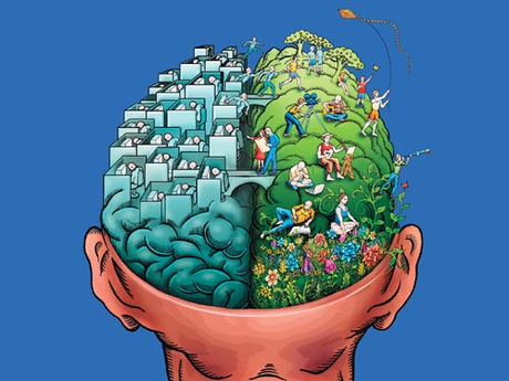 Algunas ideas acerca de nuestro maravilloso cerebro. Algunas ideas acerca de nuestro maravilloso cerebro.