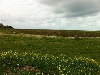 PARCELA DONDE QUIEREN CONSTRUIR EL MACROHOTEL