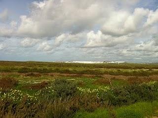 PARCELA DONDE QUIEREN CONSTRUIR EL MACROHOTEL