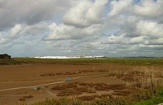 PARCELA DONDE QUIEREN CONSTRUIR EL MACROHOTEL