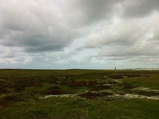 PARCELA DONDE QUIEREN CONSTRUIR EL MACROHOTEL