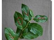 Regalo especial Valentín: Otra forma decir quiero