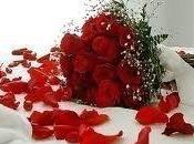 rosas regalo especial)